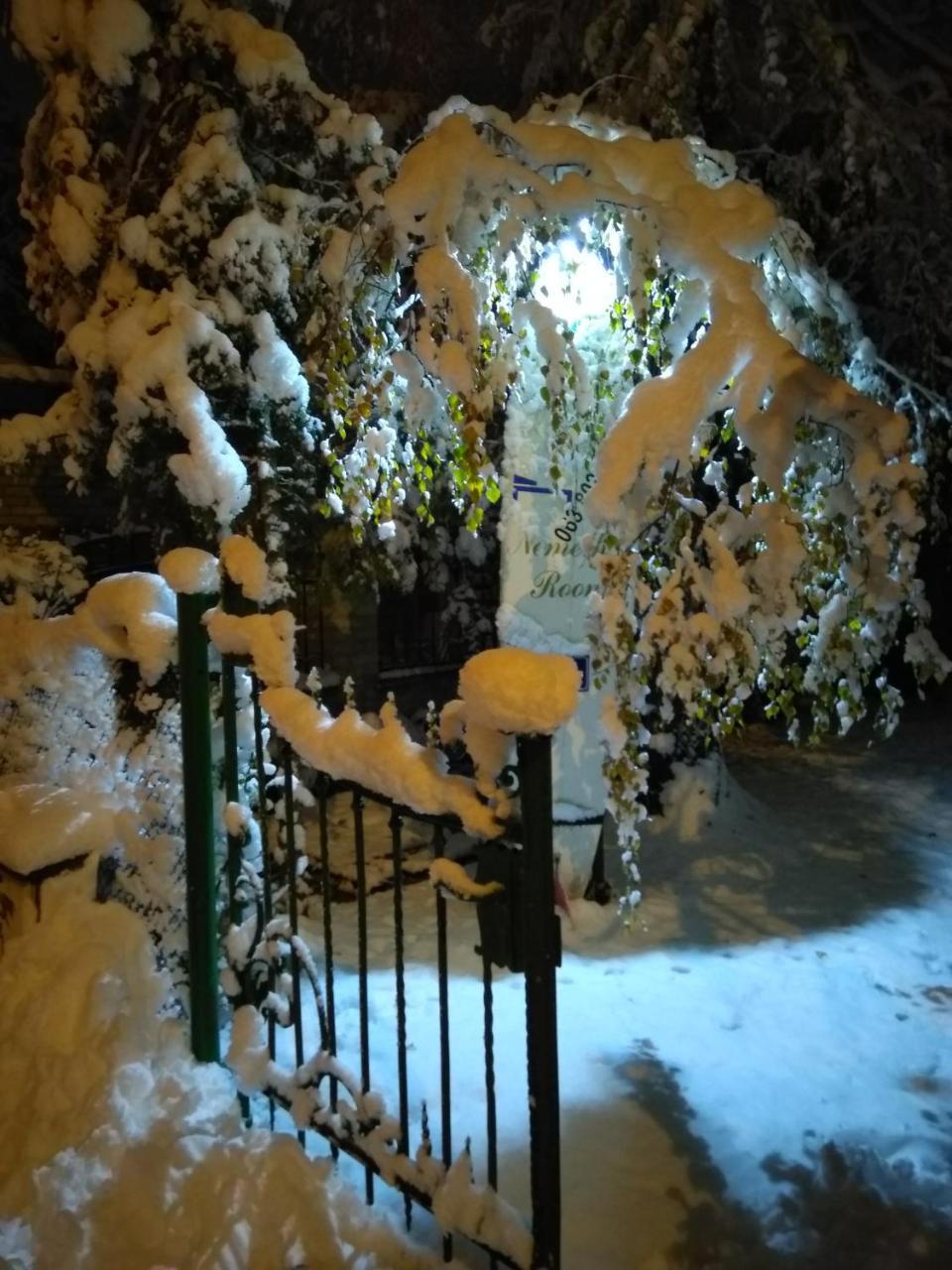 Nemeth Apartman Palić エクステリア 写真