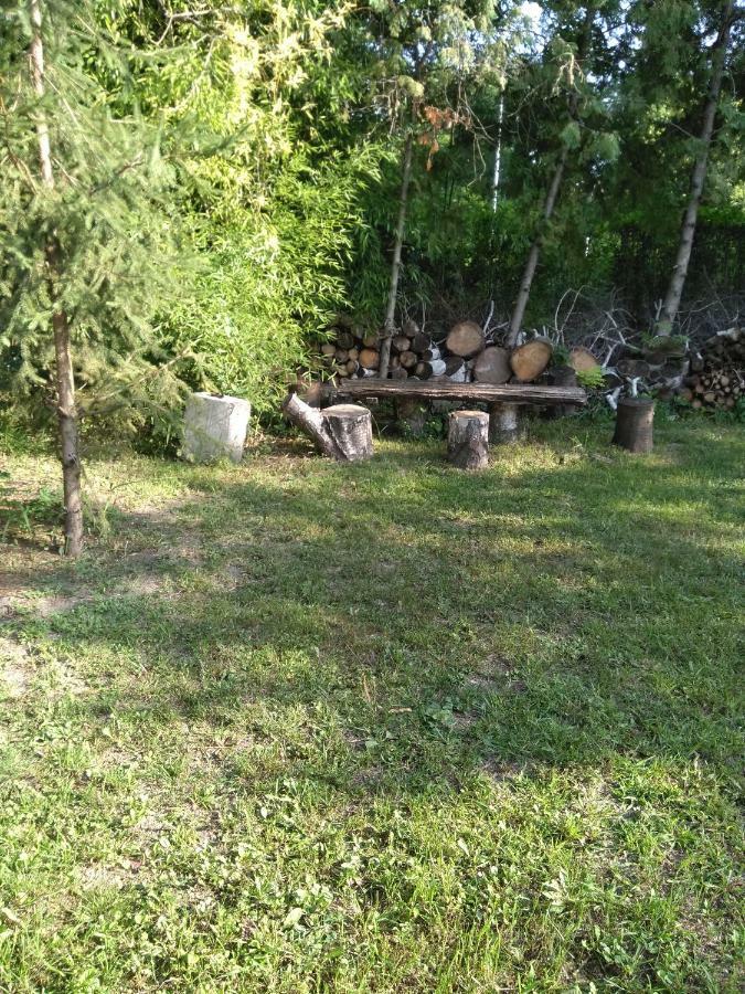 Nemeth Apartman Palić エクステリア 写真